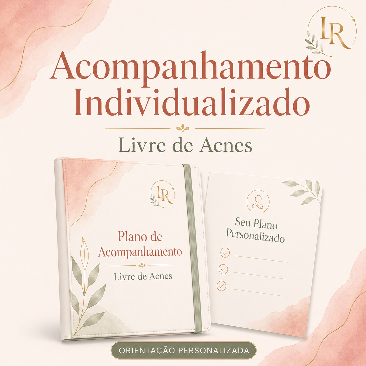 Acompanhamento Individualizado Integrativo